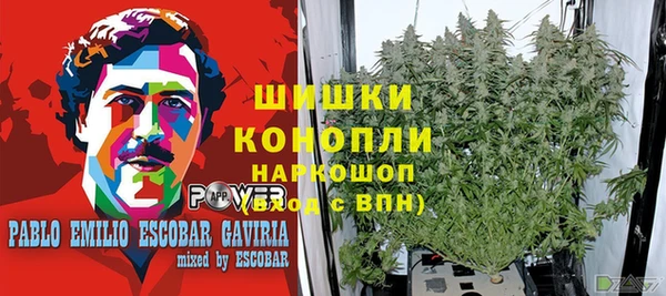 прущая мука Алзамай
