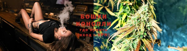ПСИЛОЦИБИНОВЫЕ ГРИБЫ Алексеевка