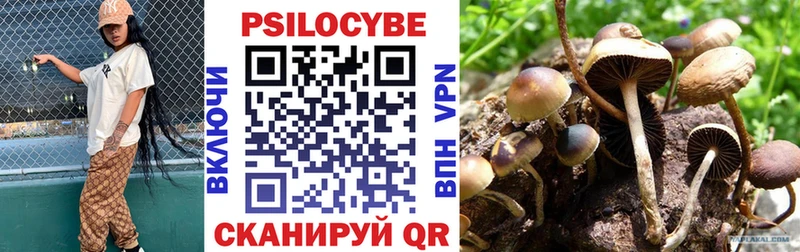 mega ссылка  как найти наркотики  Вологда  Псилоцибиновые грибы ЛСД 